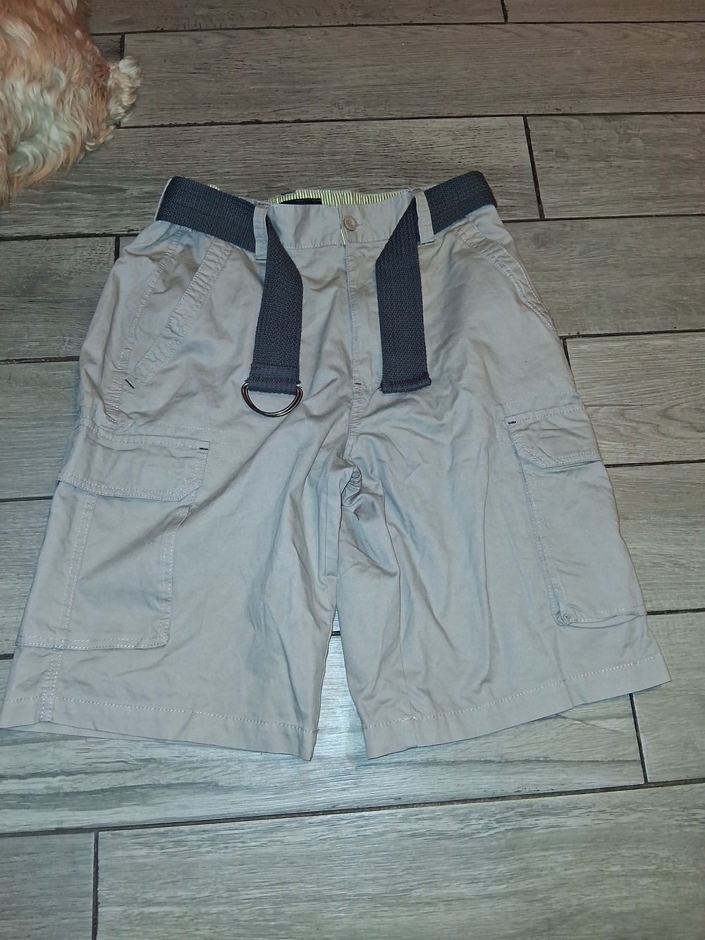 Beverly Hills Polo Club Men's Gray Cargo Shorts with D-Ring Belt